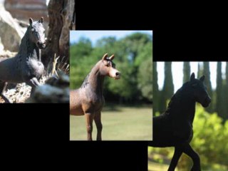 Schleich Photos - Summer  2011