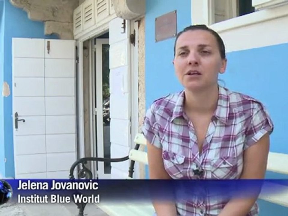 Croatie: à la rencontre des dauphins de l'Adriatique