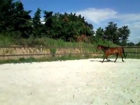 Séance du 5 août - saut en liberté
