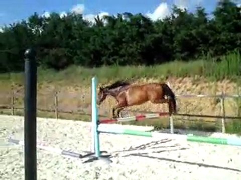 Séance du 5 août - saut en liberté 3