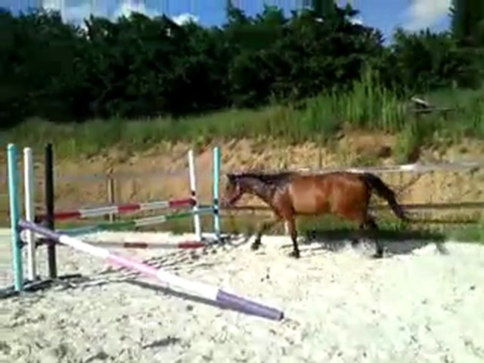 Séance du 5 août - saut en liberté 4