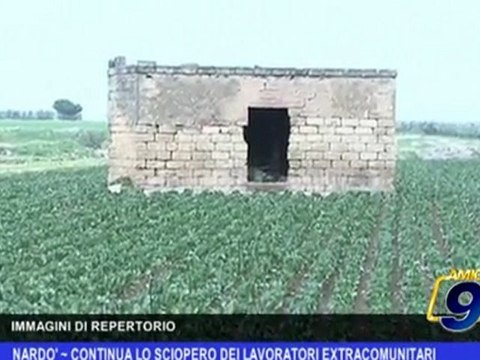 Nardò | Continua lo sciopero dei lavoratori extracomunitari
