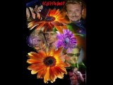 Cet homme que voilà  Jihnny Hallyday DIDIER
