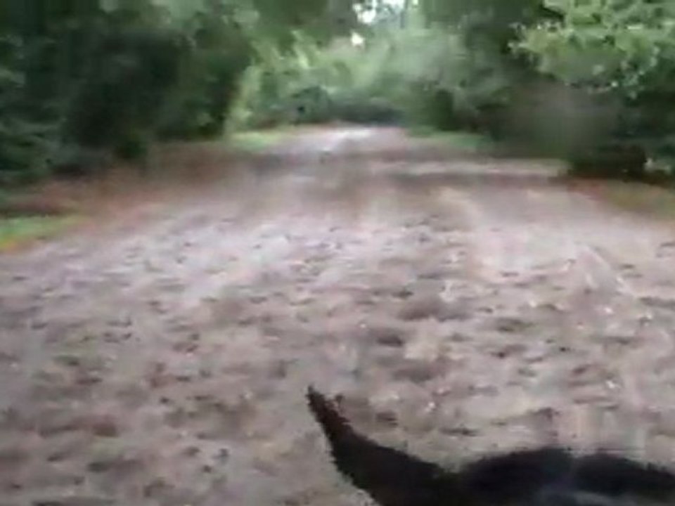 Piste des TF 4