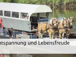 Events Osten, Oste Erika Haack Wellness-Beraterin, ...