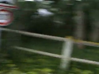 Le long des Paddocks