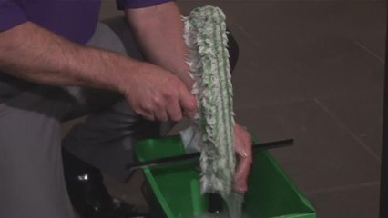 How To Get Your Windows Looking Clean