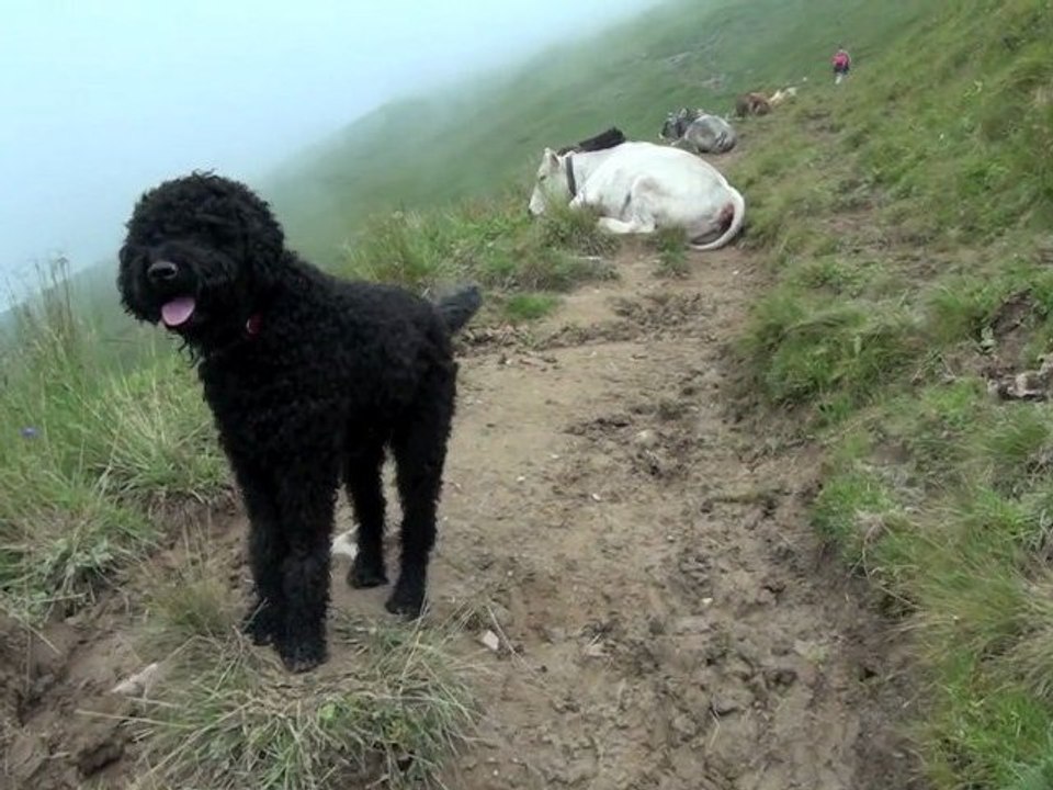 Die Pyramide am Thunersee