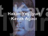 Hakan Yeşilyurt - Kavak Ağacı..