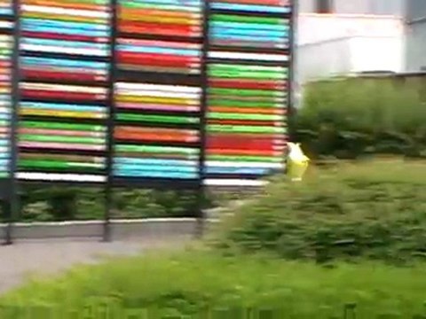 Slalom Ville la grand 2011