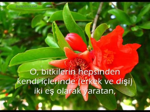 Rad Suresi 2-3. ayetler ve meali