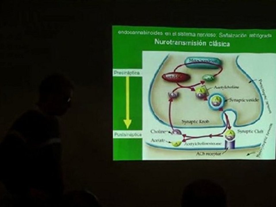 3º jornada - cannabis medicinal y usos industriales - parte 1/2