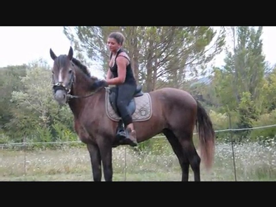 Tinto débourrage,le montoir Episode 2!