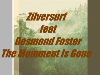 Zilversurf feat Desmond Foster The Momment Is Gone