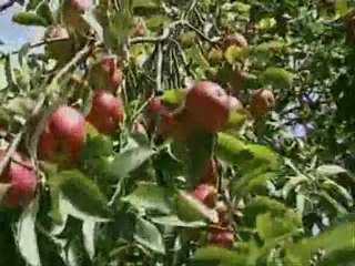 uyan sevdiğim gençlik Hayri küçükdeniz şiir