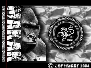 MAKAK PROD-FURIOUS-DIGITAL DIFFUSION