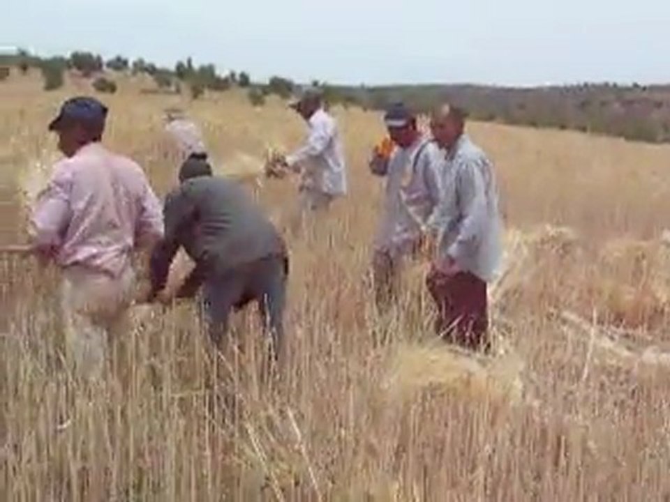 vidéo2009_0609 077