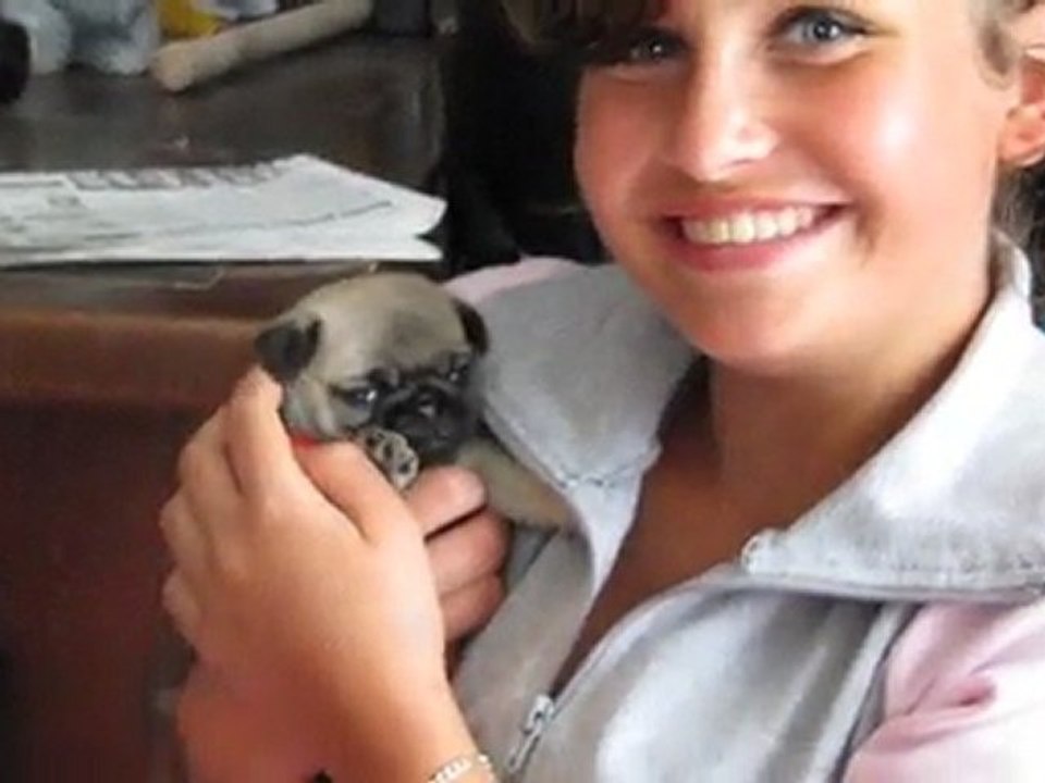 bb Alsa + charlie vidéo  août 2011 002