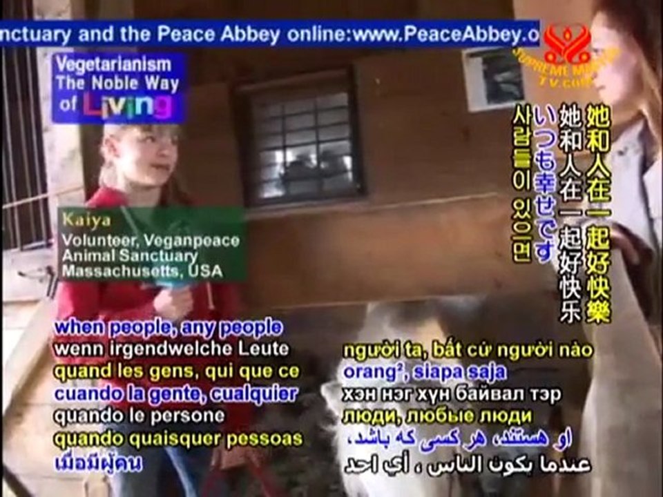 Veganpeace Animal Sanctuary for Farm Animals - P1/2