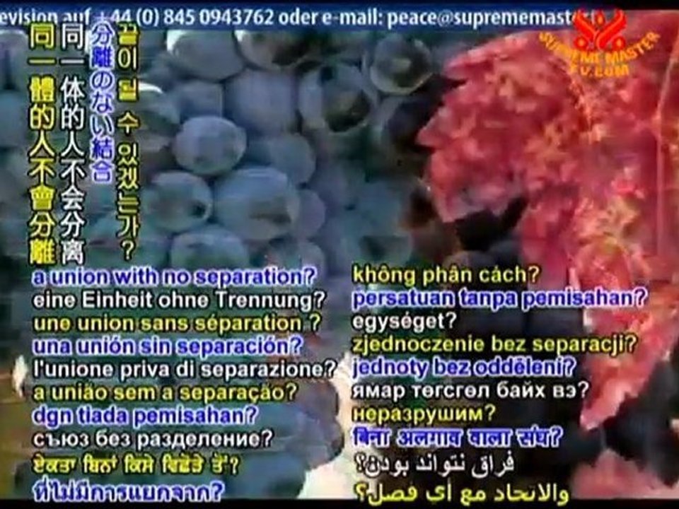 Sufism Fihi ma Fihi: Discourses of Rumi,Chapters 28-29 & 32