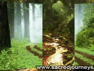 Fight Cancer and Chronic Diseases