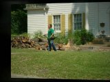 Austin Tree Removal by American Treeworks