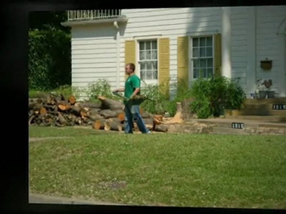 Austin Tree Removal by American Treeworks