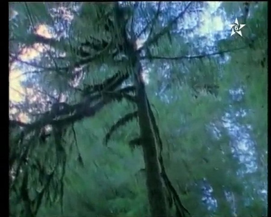 Tassabih تسبيحات " التعايش