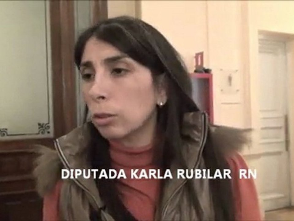 DIPUTADA KARLA RUBILAR   RN
