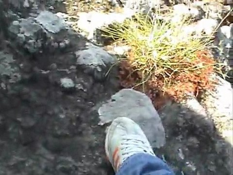 ilyasbey köyü/cide/kastamonu-2011(2)