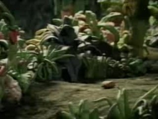 Sergent GArcia - Adelita - virgin