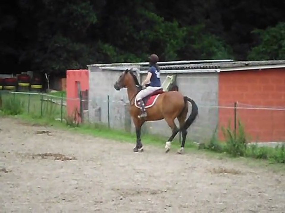 Cours neila