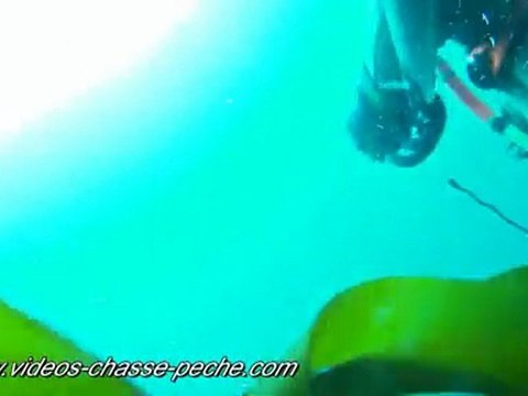 Lieu jaune 4,5 kg - Chasse sous marine - APN Sony DSC TX7