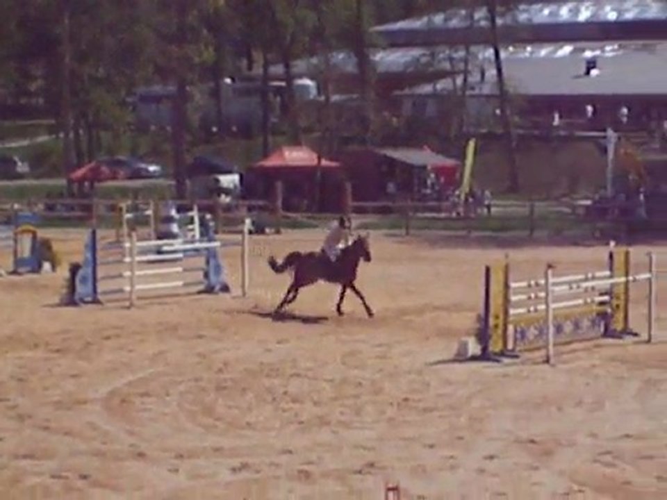 1.40 m  barbaste origan