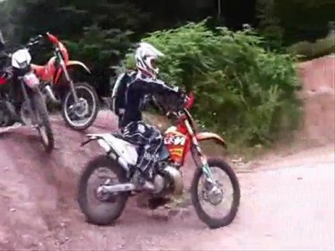 Les trois petits Cochons