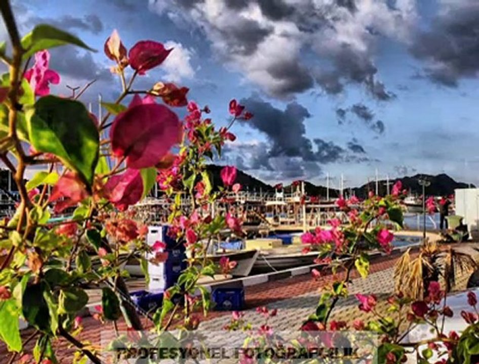 Yalan Dünya... ( Paylaşabilirsiniz ) Profesyonel Fotoğrafcilik