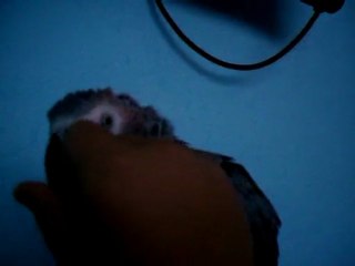 Efe yıkandıktan Sonra Saçlarını Yaptırıyor