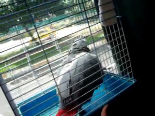 Efe Belediye Otobüsünde 2