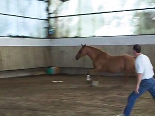 Ombeline del bosco saut en liberté