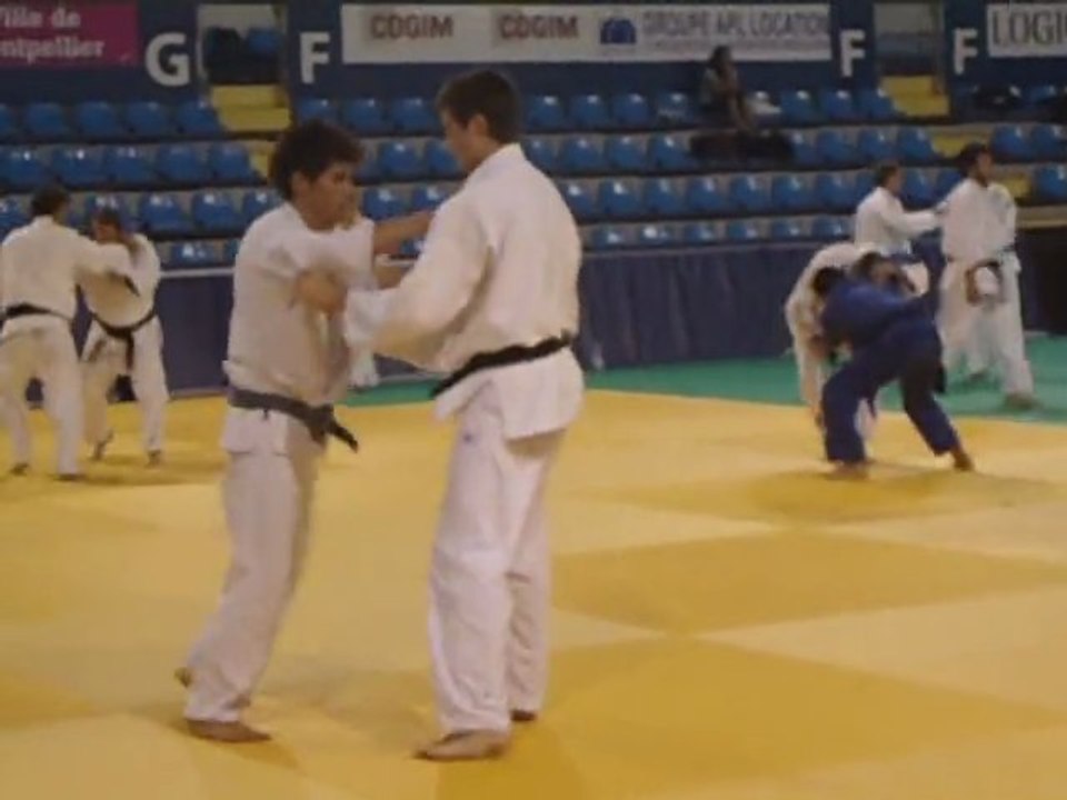 Randori     (27e Stage International de Montpellier)