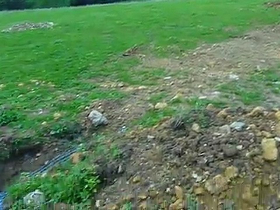 Travaux dans le pré