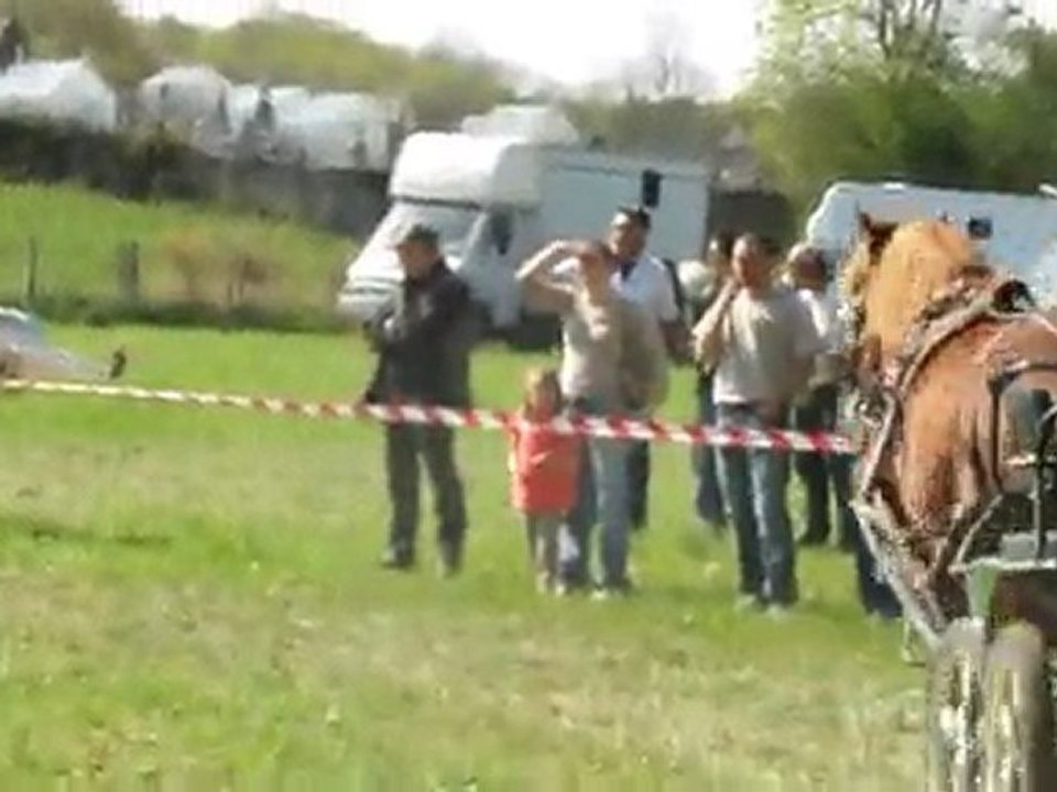 Carrousel attelé à Cressat par les Attelages de la Tuilerie