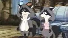Die Raccoons [come on home]