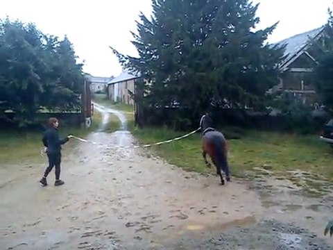 Vasco à la longe au trot à main gauche
