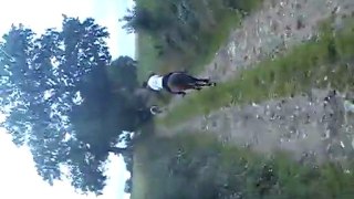 Vasco au trot sur le petit chemin qui sent la noisette