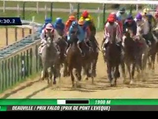 QUINTE 7 AOUT 2011 ( source équidia.fr )