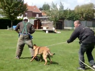 Gamin le 07.08.2011 018