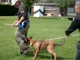 Gamin le 07.08.2011 019