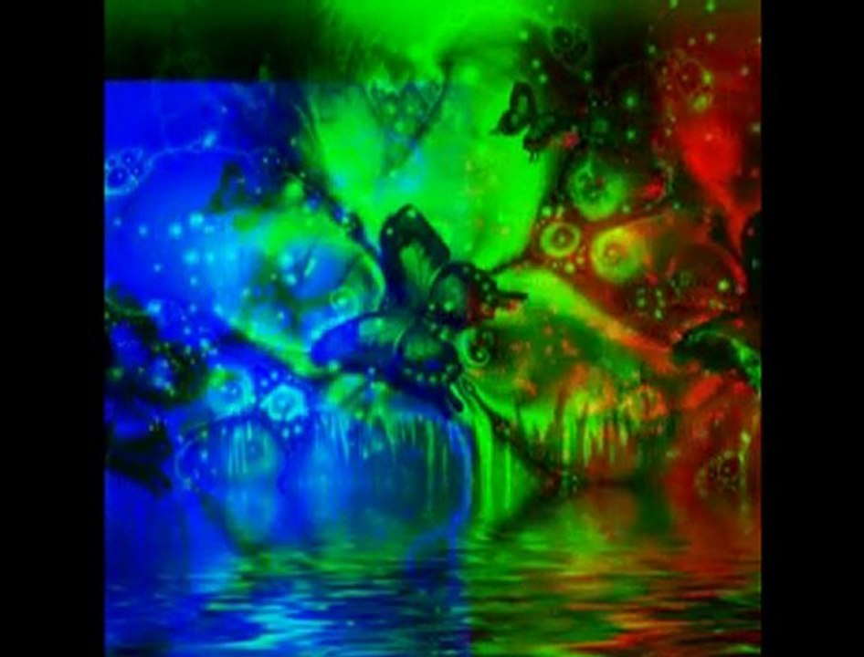 Funda ARAR - Yak Gel