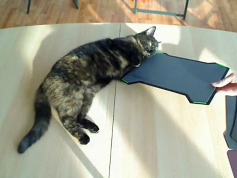 Razer Mousepad Comparison... by Cat!